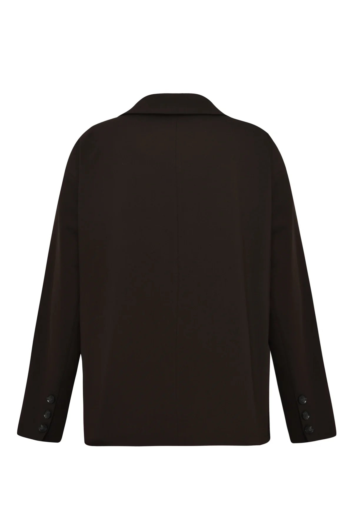 Allium blazer