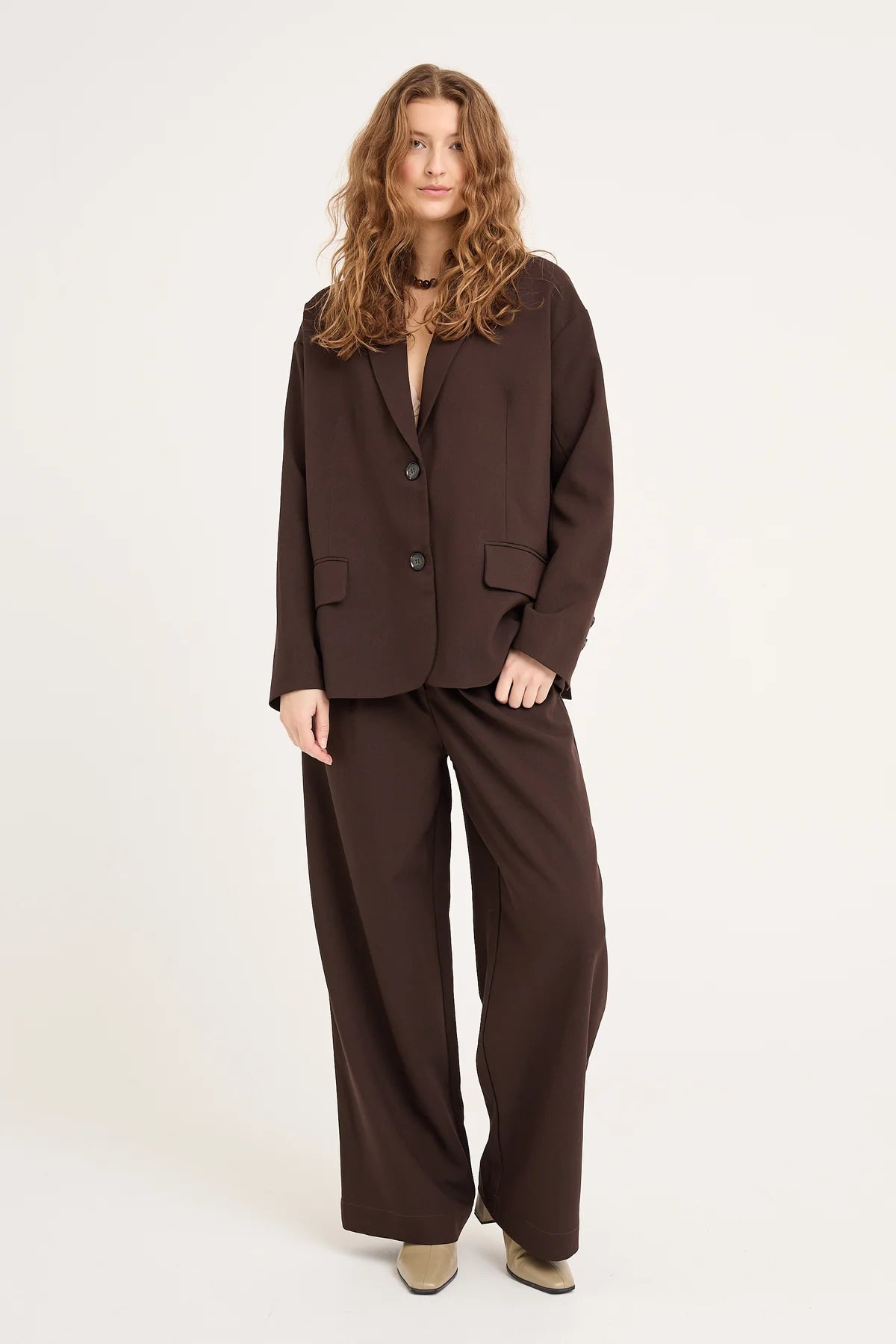 Allium blazer