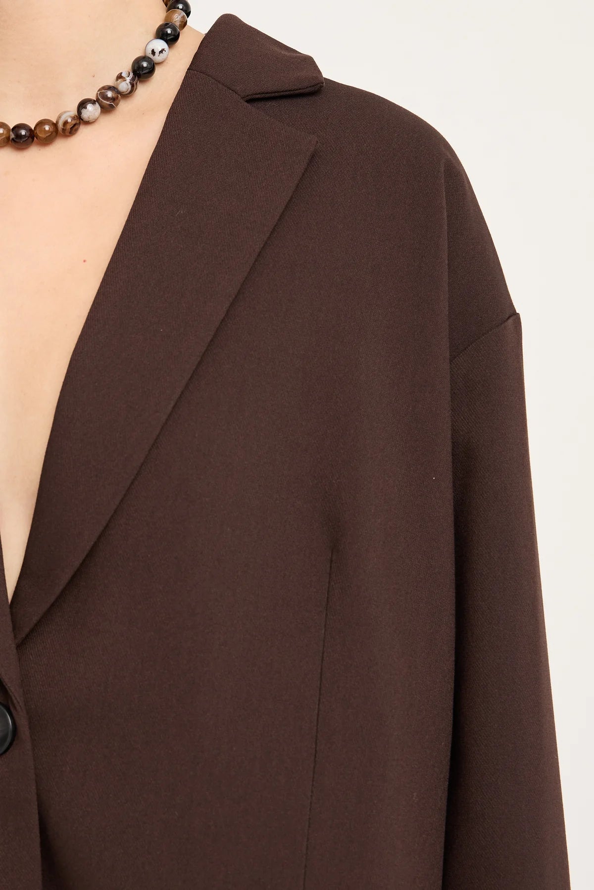 Allium blazer